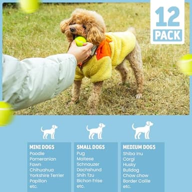 WRTZ 12 Small Tennis Balls for Dogs | 2 Inch Dog Fetch Toys for Your Smaller Pups | Non-Abrasive for Smaller Mouths | Interactive Dog Toys for Boredom & Fun | Works with Ball Launcher for Small Dogs - Image 8