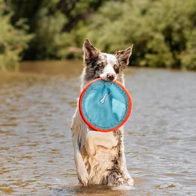 Chuckit! Paraflight Flying Disc Dog Toy - Water Floating Flyer - Durable Nylon Construction with Soft Rubber Edges - For Medium and Large Dogs - Size Large - 9.75" L x 9.75" W - Pack of 1 - Image 2