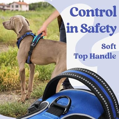 rabbitgoo Dog Harness Medium Sized, No Pull Pet Harness with 3 Buckles, Adjustable Soft Padded Vest with Control Handle, Walking Reflective Pet Vest for Medium Dogs, Blue, M - Image 5