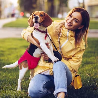 Pet Soft Washable Female Diapers (3 Pack) Female Dog Diapers, Comfort Reusable Doggy Diaper for Girl Dog in Period Heat (Classy, L) - Image 6