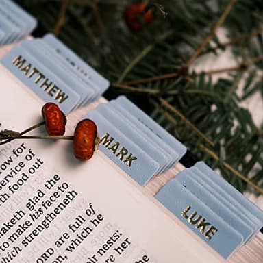 UPAFEXXI-Leather Bible Tabs, Bible Tabs for Women and Men(Gold Foil Lettering) Large Print Stickers, Easy to Read and Apply, 80 Chapters Labels for Easy Navigation(Sky Blue) - Image 7