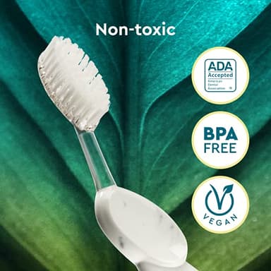 RADIUS Big Brush with Replaceable Head BPA Free & ADA Accepted Toothbrush Designed to Improve Gum Health & Reduce Gum Issues - Right Hand - Marble - Pack of 1 - Image 8