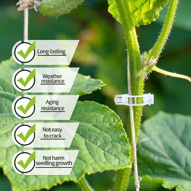 Ghguole 300 pcs Plant Clips for Climbing Plants, Tomato Plant Clips, Plant Support Clips for Gardening, Garden Clips for Climbing Plants to Grow Upright Makes Plants Healthier - Image 3