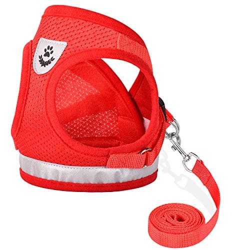 Cat Harnesses and Puppy Harness with Leashes Set, Escape Proof Cat Harness, Adjustable Reflective Soft Mesh Vest Fit Puppy Kitten Rabbit Ferrets's Outdoor Harness - Image 1