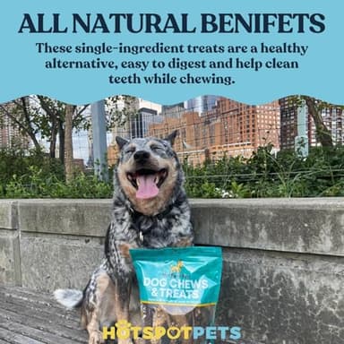 hotspot pets 10 Pack - 6-7 Inch Certified Facility Rawhide Dog Chews - from Grass Fed Brazilian Cows - Promotes Tooth Health and Good Behavior (10 Pack) - Image 8