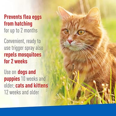 Adams Plus Spot On Flea & Tick Spray for Cats & Dogs - Image 5