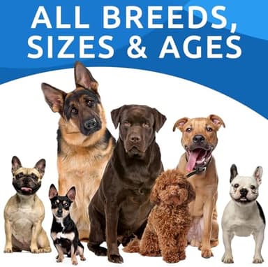 BARK&SPARK Dog Allergy Relief Chews - Anti-Itch Skin & Coat Supplement - Omega 3 Fish Oil - Itchy Skin Relief Treatment Pills - Itching&Paw Licking - Dry Skin&Hot Spots - (120 Immune Treats - Chicken) - Image 9