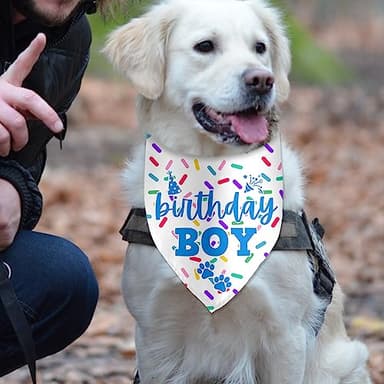 Birthday Boy Dog Bandanas for Photo Props - Happy Birthday Party Accessories - Image 2