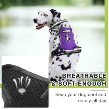 WINSEE Dog Harness No Pull, Pet Harnesses with Dog Collar, Adjustable Reflective Oxford Outdoor Vest, Front/Back Leash Clips for Small, Medium, Large, Extra Large Dogs, Easy Control Handle for Walking - Image 8