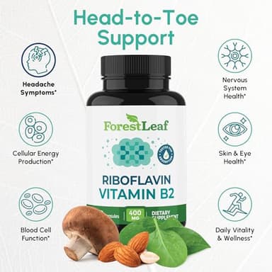 ForestLeaf Vitamin B2 Riboflavin 400mg - Energy, Skin & Cellular Health Supplement - Nervous System Support - Vitamin B 2 VIT B - Non-GMO & Gluten Free - B2 Vitamin 400mg Vegetable Capsules, 90 Count - Image 2