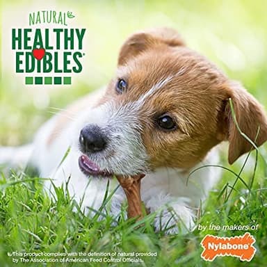Nylabone Healthy Edibles WILD Natural Dog Chew Treats, Bison Flavor, Small Dogs Up to 20 lbs - Made in USA (16 Count - Image 5