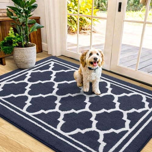 Buganda Indoor Door Mat, Dirt-Resistant and Absorbent Doormat, Anti-Slip, Low Profile Floor Mats for Inside Entryway, Front, and Back Door Entrance (48x32 Inches, Navy Blue)