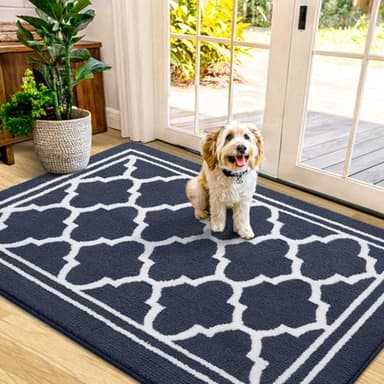 Buganda Indoor Door Mat, Dirt-Resistant and Absorbent Doormat, Anti-Slip, Low Profile Floor Mats for Inside Entryway, Front, and Back Door Entrance (48x32 Inches, Navy Blue)