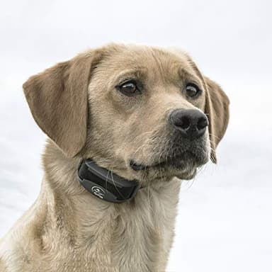 SportDOG Brand FieldTrainer 425X Remote Trainer - 500 Yard Range - Rechargeable Dog Training Collar with Static, Vibrate, and Tone - SD-425X - Image 6