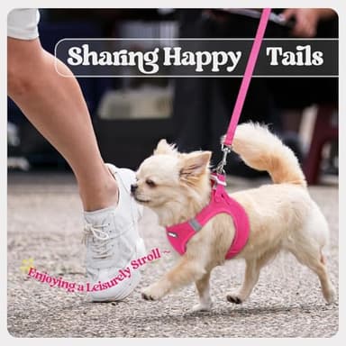 rabbitgoo Dog Harness Small Sized and Leash Set, Step in Soft Light Puppy Vest, Breathable Mesh Pet Harness, Reflective for Safe Easy Walking, Rose Red M - Image 9