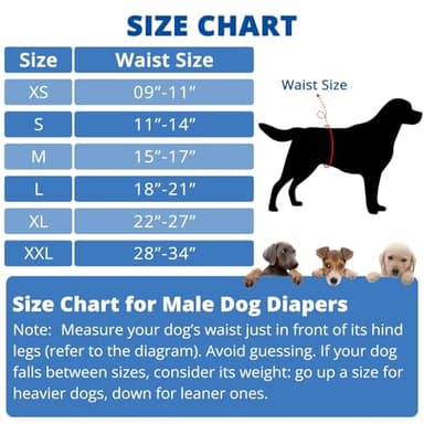 Paw Legend Washable Dogs Diapers Male Dog Belly Bands for Male Dogs Diapers Reusable Puppy & Doggie Diapers Male (3 Pack, Medium) - Image 4