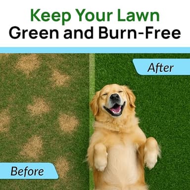 PAWFECTCHEW Green Grass Dog Chews w/Probiotics - Prevent Urine Burning Grass - Dog Pee Grass Spot Saver - Dog Urine Neutralizer for Lawn Treats, UT & Gut Health for Dogs, Lawn Burn from Dog Urine - Image 2