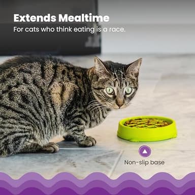 Catstages Kitty Slow Feeder Cat Bowl for Wet or Dry Cat Food, Helps Prevent Bloat & Improve Digestion, Non-Slip, BPA-Free, Small, Green - Image 3