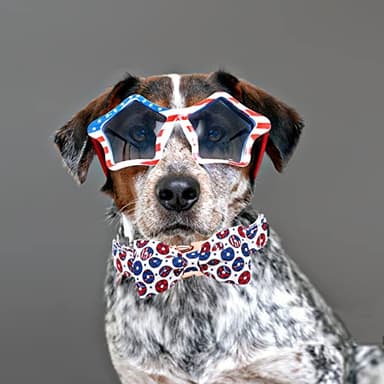 Bobo Rainbow Independence Day Dog Collar, American Flag Bowtie Dog Collar Pet Collar Bow Tie Collar for Dogs Soft Durable Adjustable Dog Collars for Medium Dogs - Image 6