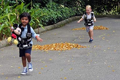 RideSafer - Large Blue, Lightweight, Compact, Portable Car Seat - Perfect for Travel and Everyday Child Safety - Image 8