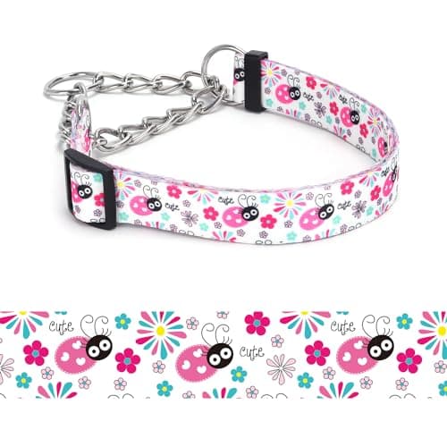 haoyueer Martingale Dog Collar - Stainless Steel Chain, No Pull Training Collar with Flower Design for Large Medium Small Dogs (19, L) - Image 1