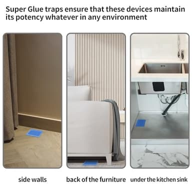 LULUCATCH Mouse & Insect Traps 12 Pack, Heavier Sticky Traps with Non-Toxic Glue for Small Mice & Insects. Sticky Mouse Traps Indoor, Easy to Set, Safe to Children & Pets - Image 4