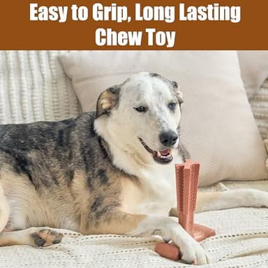 SPOT Bam-Bones Plus T Bone - Bamboo Fiber & Nylon Dog Chew Toy for Moderate to Aggressive Chewers, Non-Splintering, Long-Lasting, 7in Beef Flavor, for Adult Dogs & Teething Puppies Under 90lbs - Image 6