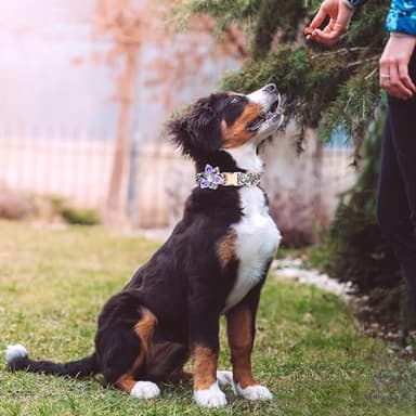 TDTOK Girl Dog Collar for Small Medium Large Dogs, Cute Dog Collar with Detachable Flower Safety Metal Buckle Adjustable Floral Pattern Soft Comfy Cotton Dog Collars Fit Necks 10.2-23.6’’ (Blossom, M) - Image 3