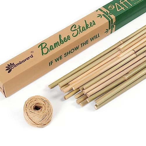 Cambaverd Bamboo Stakes 4 Feet Thicker Garden Stakes with Garden Twine, Diameter of 0.55in Natural Plant Stakes Bamboo Poles for Climbing Plants Support Tomato Cage - 20 Pack Bamboo Sticks for Plants