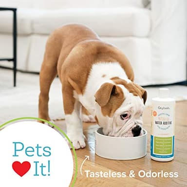 Oxyfresh Premium Pet Dental Care Solution Pet Water Additive: Best Way to Eliminate Bad Dog Breath and Cat Bad Breath - Fights Tartar & Plaque - So Easy, Just Add to Water! Vet Recommended 2 Pack - Image 3