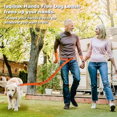 Laqibak Hands Free Dog Leash, Adjustable Waist Leash for Dog Walking, Dual Bungee 4.2-6.7 Feet Long with Reflective Stitches for Walking Hiking Running, Fits 26"- 43" Inch Waist, Orange - Image 3