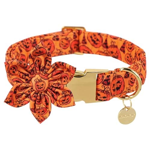 UP URARA PUP Halloween Dog Collar with Flower, Pumpkin Cotton Flower Collar for Puppy Girl Dog, Halloween Flower Collar with Durable Metal Buckle, Adorable Halloween Pet Collar, M - Image 1