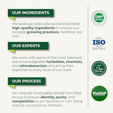 LeafLea 40 Premium Soursop Leaf Tea Bags, Pure & Natural Sour Sop Leaves, Graviola Leaves Tea, Hoja Guanabana Tea, Natural Digestion Support Herbal Tea Bags, Nutrient-Rich, No Sugar, No Caffeine - Image 9