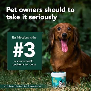 SmileDenX Pet Ear Wipes, Ear Cleaner Wipes for Dogs & Cats, Enzymes and Baking Soda - Fast Relief Ear Itching and Inflammation, Dog Ear Infection Treatment, Remove Dirt and Wax Build Up, 50 Count - Image 7