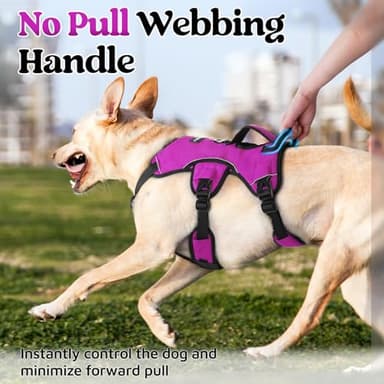 rabbitgoo Escape Proof Dog Harness, Soft Padded Full Body Pet Harness, Reflective Adjustable No Pull Vest with Lift Handle and Leash Clip for Large Dogs Walking Hiking Training, M, Purple - Image 3
