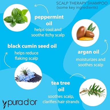 PURA D'OR Therapy Shampoo (16oz) Hydrates & Nourishes - Scalp Care Shampoo For Itchy Flaky Scalp w/ Tea Tree, Peppermint, Patchouli, Cedarwood, Clary Sage, Argan Oil (Packaging may vary) - Image 2