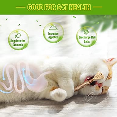 BAWAN Catnip Toys‖ Silvervine for Cats: Cute Cat & Kitten Toys for Indoor Cats Interactive‖ Cat & Kitten Teething Chew Toys for Aggressive Chewers‖ Silvervine Sticks Ca.t Dental Toy (3PCS) - Image 3
