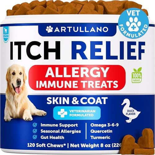 Dog Allergy Relief Chews - Itching Skin Relief for Dogs - Fish Oil - Omega 3 - Seasonal Allergies Pills - Skin & Coat, Anti Itch,Hot Spots Treatment - Canine Immune Health Supplement - 120 Soft Treats - Image 1