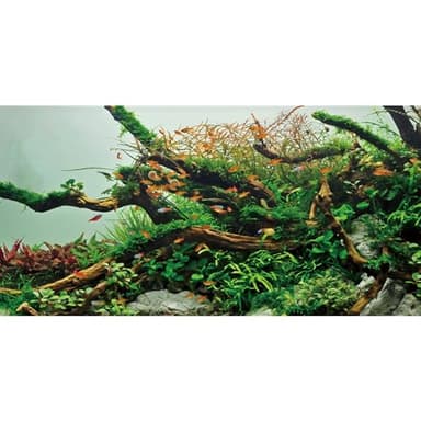 AWERT 30x18 inches Branches Fish Tank Background Green Algae Aquarium Background River Bed & Lake Fish Tank Background Vinyl Background - Image 1