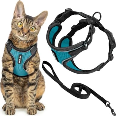 Voyager Escape Proof Cat Harness and Leash Set with Reflective Stitching, Neoprene Handle 5ft - Supports Small, Medium and Large Cats, Kittens for Walking by Best Pet Supplies - BT-Turquoise, XS - Image 1