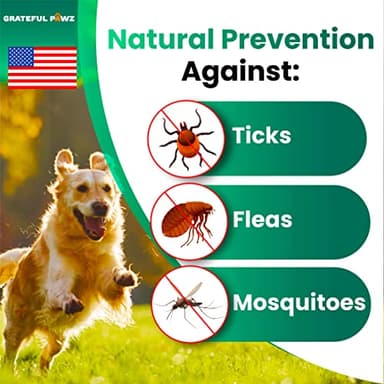 Flea and Tick Prevention for Dogs Chewables - Made in USA - Natural Flea and Tick Chews Supplement - Oral Pills for Dogs - Pest Defense - All Breeds and Ages - 120 Soft Tablets - Image 2