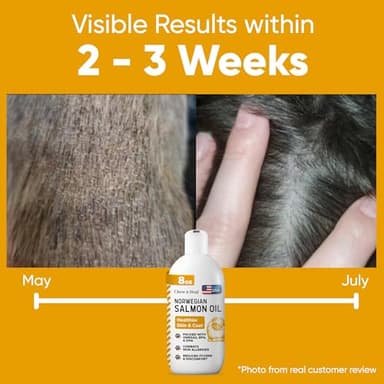 Salmon Oil for Dogs - Premium Fish Oil for Skin and Coat Health - Omega 3 Supplement - Supports Itchy Skin - 8 oz Liquid - Norwegian Dog Salmon Oil - Essential Dog Supplement - Image 2