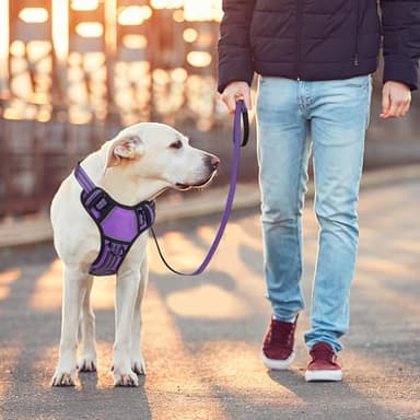 BUMBIN Dog Harness for Large Dogs, No Pull Adjustable No Choke Pet Vest with Dog Leash Fit Smart Reflective Pet Walking Harness for Training Easy Control Soft Handle Purple M - Image 6