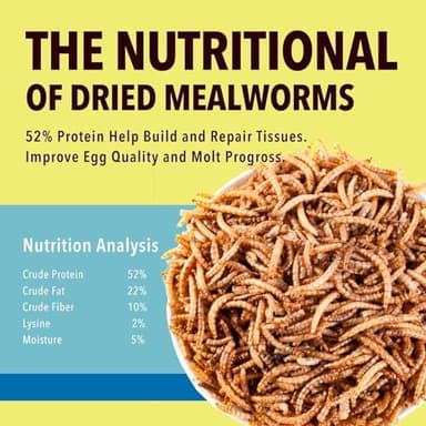 WormsFarm 5lb Dried Mealworms for Chickens Treats for Laying hens,Bluebirds,Quail,Chicken Food - Image 2