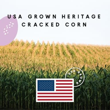 Manna Pro Cracked Corn w/Purple Corn 10lb - Image 3