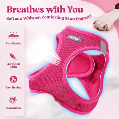 rabbitgoo Dog Harness Small Sized and Leash Set, Step in Soft Light Puppy Vest, Breathable Mesh Pet Harness, Reflective for Safe Easy Walking, Rose Red M - Image 4