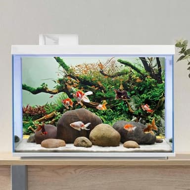 AWERT 30x18 inches Branches Fish Tank Background Green Algae Aquarium Background River Bed & Lake Fish Tank Background Vinyl Background - Image 4