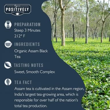 Organic Positively Tea Company, Assam TGFOP Black Tea, Loose Leaf, 16 Ounce - Image 2