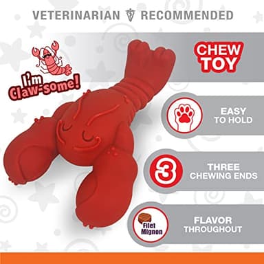 Nylabone Lobster Power Chew Toy for Dogs, Dog Toys for Aggressive Chewers, Filet Mignon Flavor, X-Large Dogs - 50+ lbs, 1 Count - Image 3