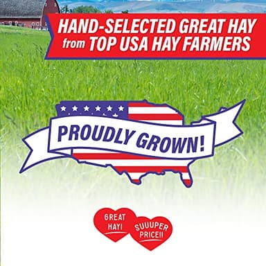Small Pet Select Value Choice Timothy Hay for Rabbit, Guinea Pig, Bunny, Chinchilla and Other Small Animals, Premium Natural Hay Grown in The US, Pet Food, 8lb - Image 3